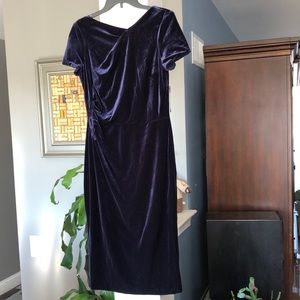 Ralph Lauren Chaps Sapphire Blue Velvet Dress-NWT